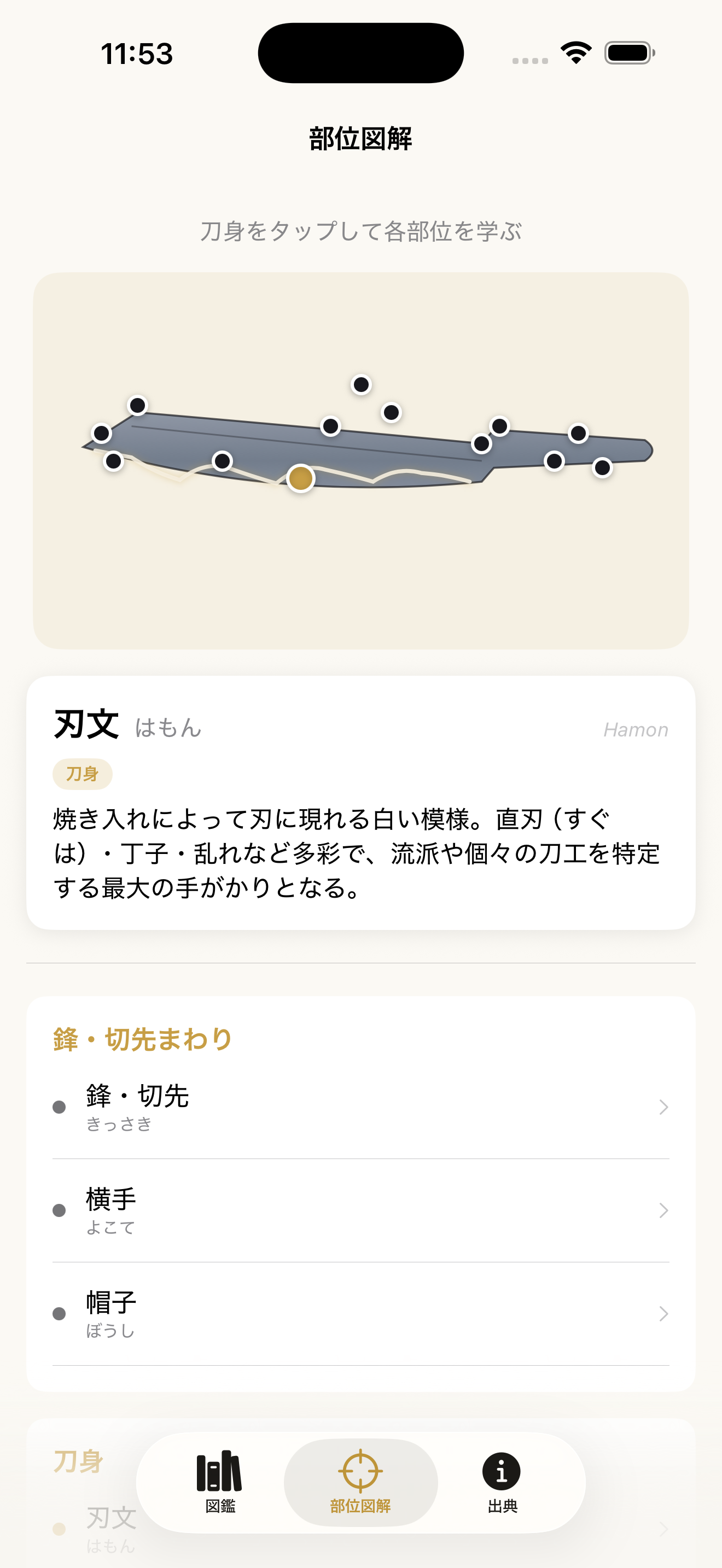 部位図解